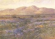 unknow artist Lupine in Kern County china oil painting reproduction